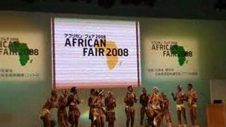 african fair 2008