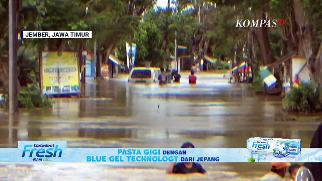 Banjir Rendam 12 Desa di Jember: Ketinggian Air hingga 1,5 Meter, BPBD Evakuasi Warga Terisolasi