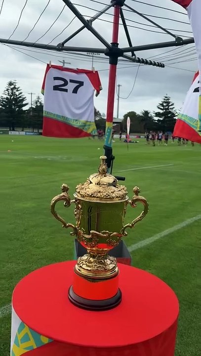 rugby world cup, newcastle herald, february 14, 2026