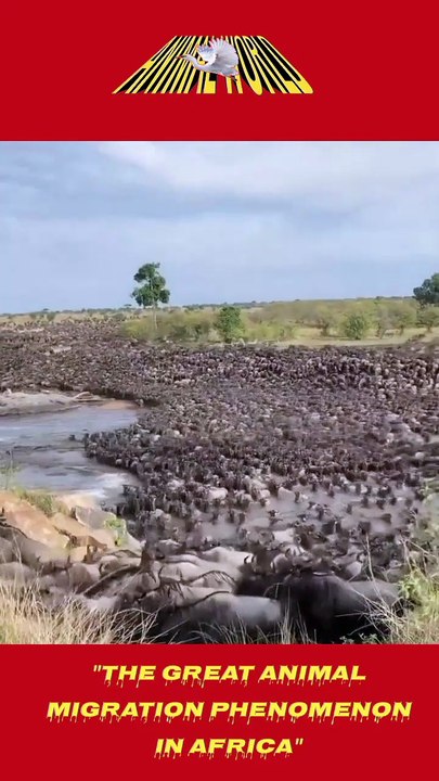 The great animal migration phenomenon in Africa
