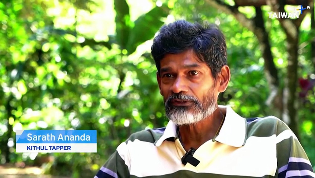 Sri Lanka’s Kithul Palm Sap Tapping Tradition Gets UNESCO Recognition