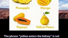 yellow enterns the kidney