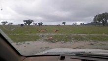 más lluvia en el campo bravo