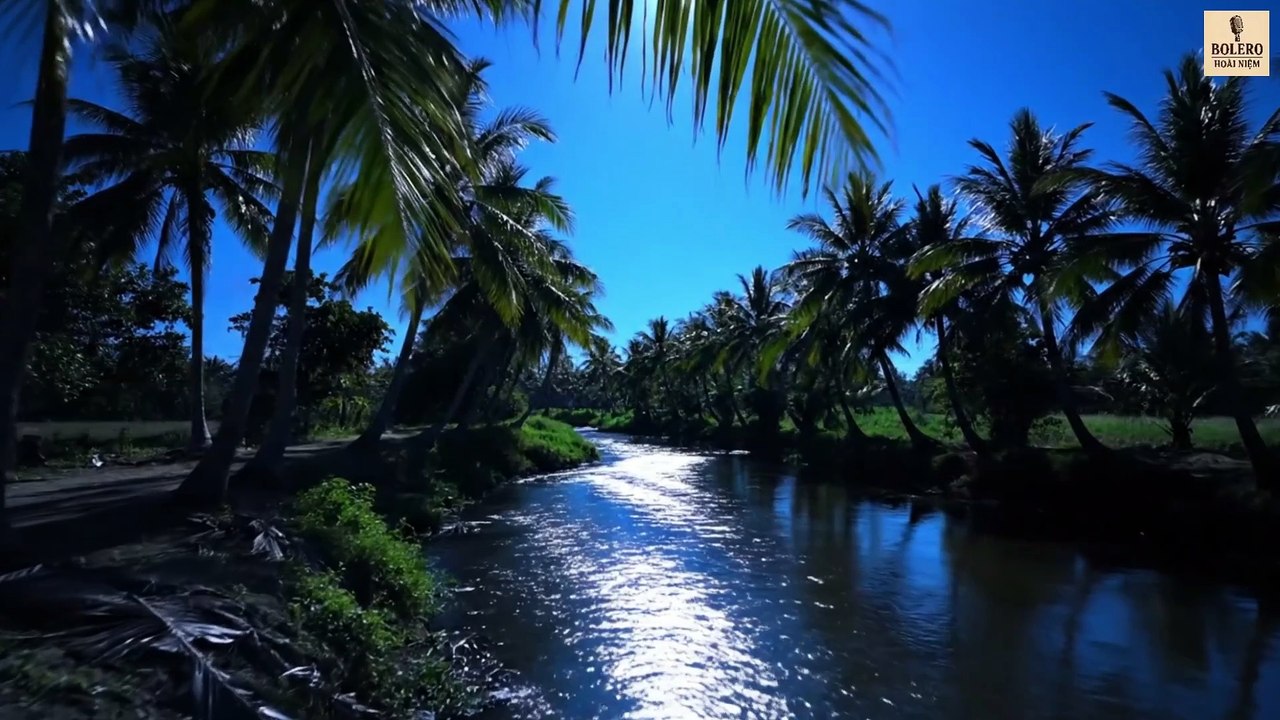 Giấc Ngủ Cô Đơn – Bolero Dân Ca Buồn Nhẹ  | Bolero Hoài Niệm