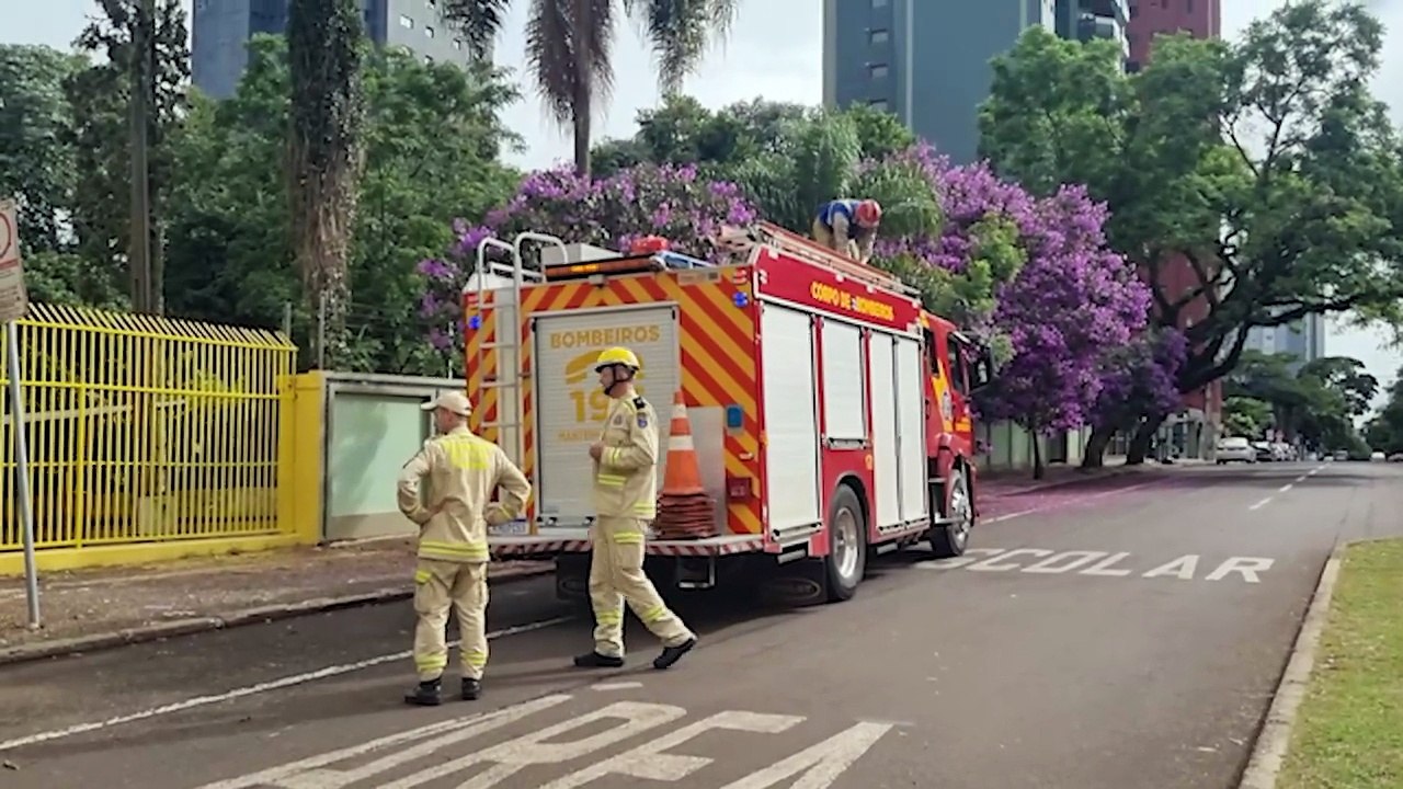 Caminhão ABTR dos Bombeiros é acionado para retirar tronco que caiu e bloqueou passagem no Centro de Cascavel