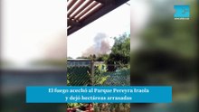 Importante incendio en Arturo Seguí.