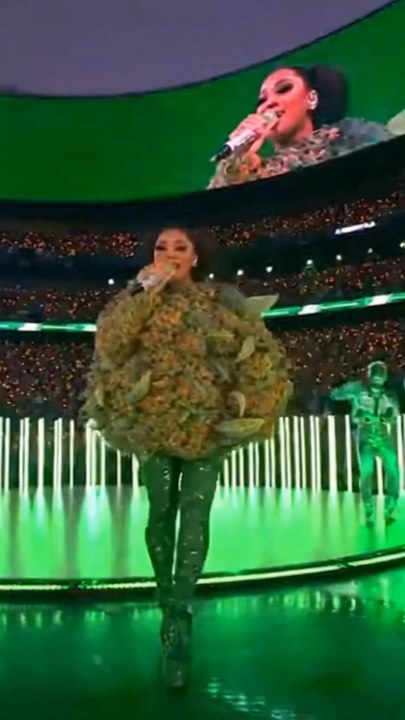 Le vrai spectacle du Super Bowl, c’était ça 🏟️🏈