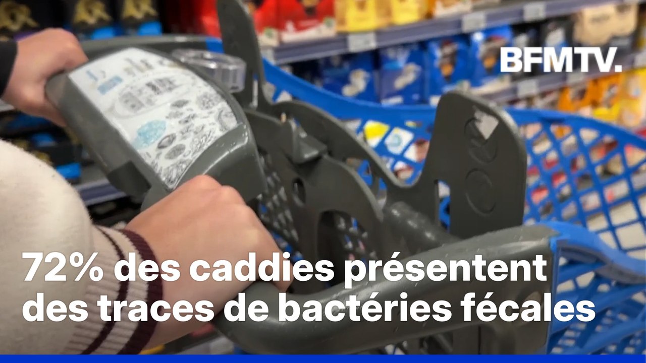 72% des caddies testés dans une étude américaine présentent des traces de bactéries fécales