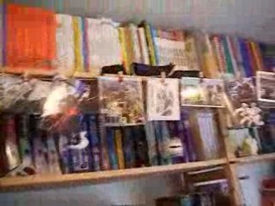 Photo 054