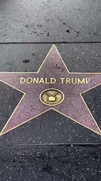 ⭐📂 Des images, des classeurs et des documents liés aux « Epstein files » ont été déposés sur l’étoile de Donald Trump sur le Hollywood Walk of Fame. 📸🗂️