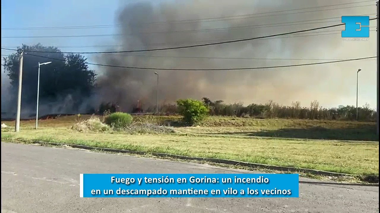 Fuego y tensión en Gorina: un incendio en un descampado mantiene en vilo a los vecinos