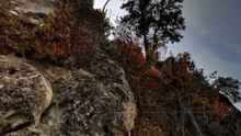 The Legend of Headless Annie - The Legend That Haunts Kentucky’s Black Mountain!