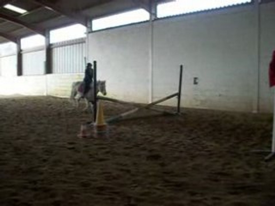 La chute de justine et fly