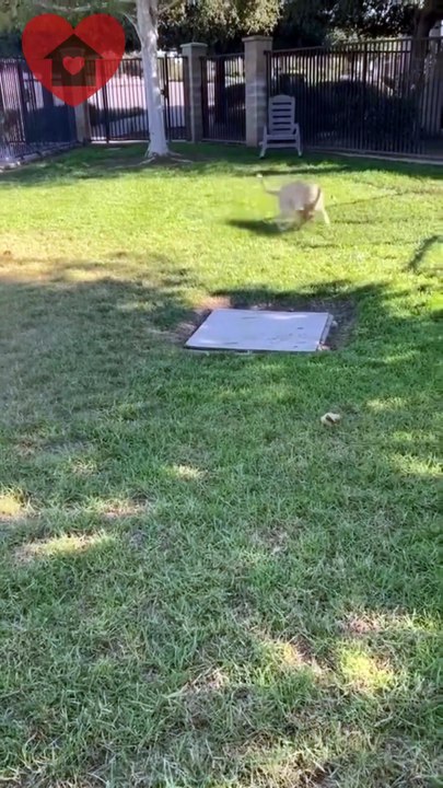 🚨 DEADLINE. MUST EXIT SHELTER BY WED 2/18 5PM!!!!