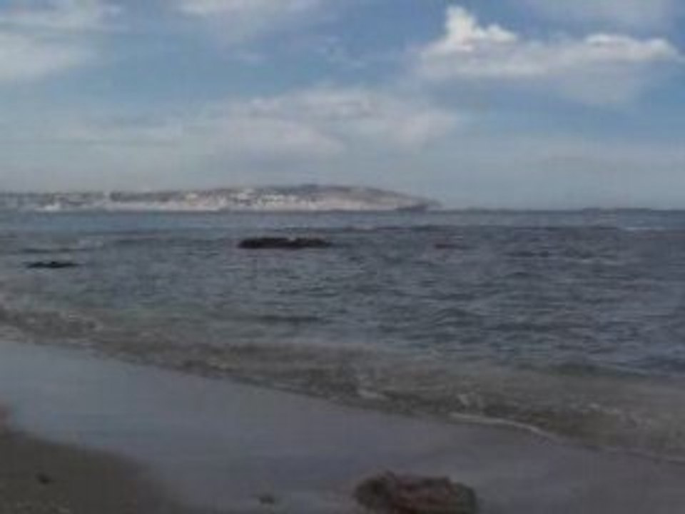 Vid1
