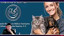 Relajación del Nervio Vago para controlar problemas de comportamiento