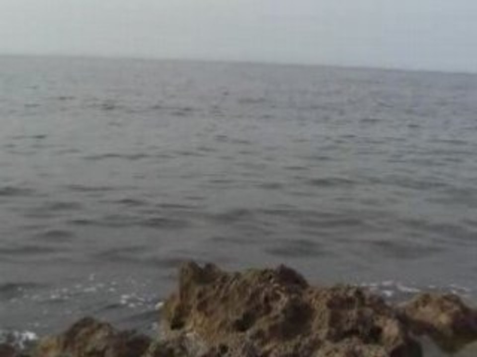 Vid7
