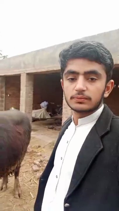 SAIM ALI