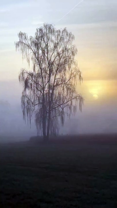 Happiness Lives in the Present, Not the Past or the Fear