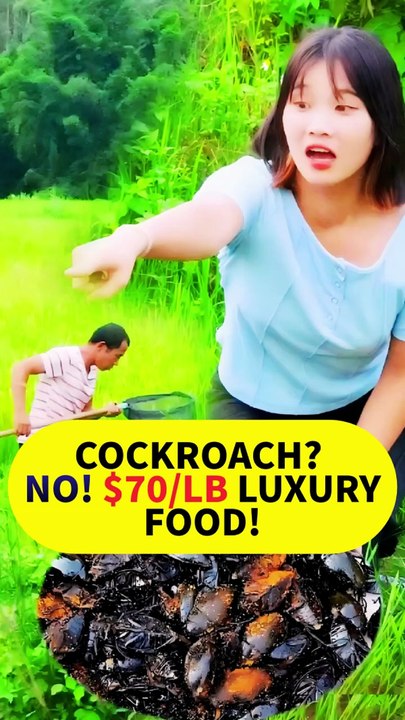 This Bug Looks Like A Cockroach… But It Costs $70/LB At Restaurants?! 😱🔥