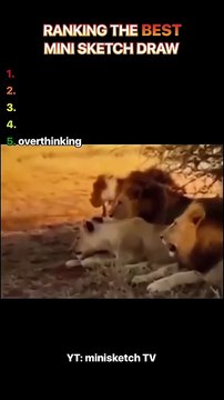 Top 5 Hilarious Mini Sketch Draws That Will Make You Cry Laughing! 🤣✨ ​Ranking the Most Viral Mini Sketch Draws - You Won't Believe 🦁🔥