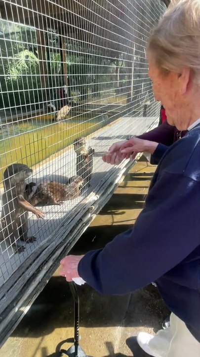Otter Feeding 2023 12 27 11 06 10