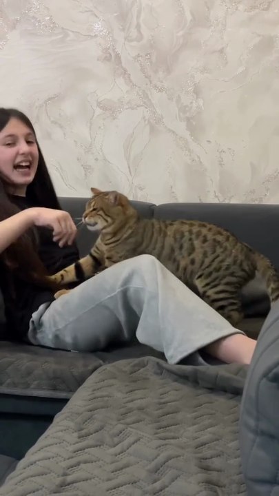 Cat lover 😍❤️🌿