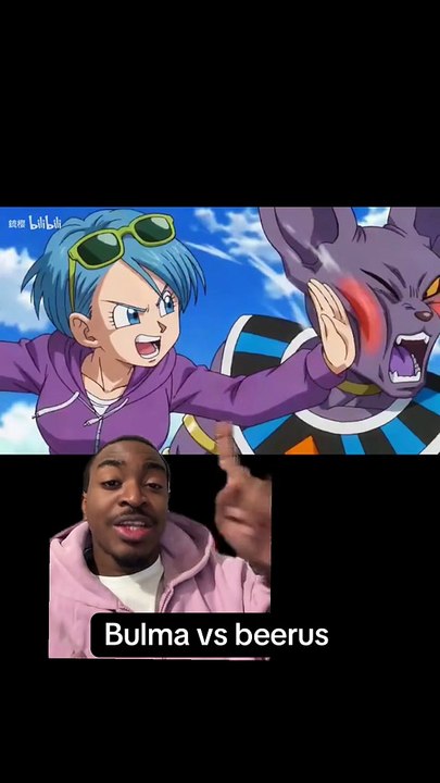 bulma vs beerus