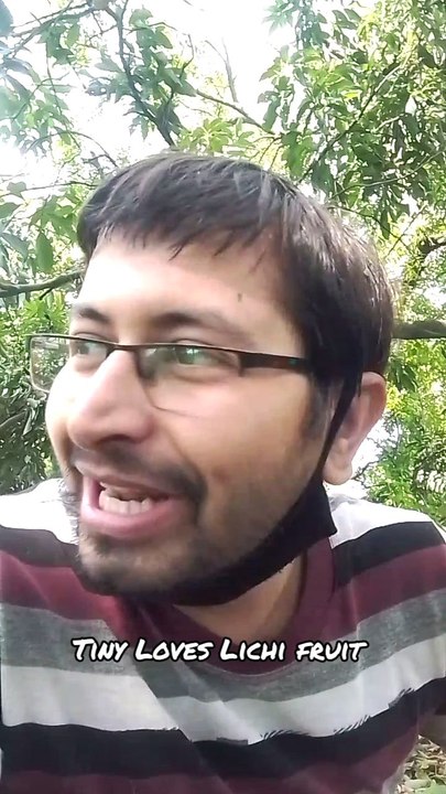 Tiny loves Lichi #lichi #dog #dogs #doglover #doglovers #lovedogs #dogowner #dogowners #dogsforadoption #adoptdontshop #adoptstreetdogs #adoptme #streetdogs #animals #animallover #animallovers #animals #animalwelfaresociety #dehradun #vlog #vlogger