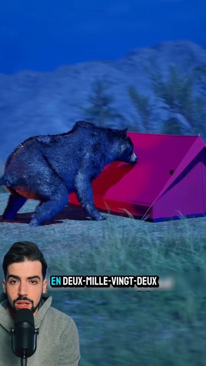 Une rencontre avec un ours