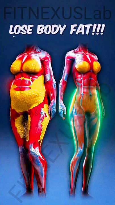 Lose Body Fat Fast 🔥 Science-Backed Transformation #fatloss #weightloss #fitness #shorts