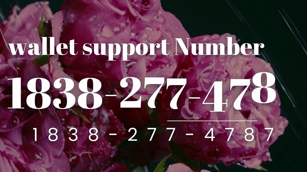 Wild!![COMPLETE GUIDE] Coinbase TeCh SUPPORT Number 484456