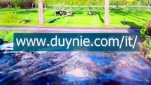 Duynie