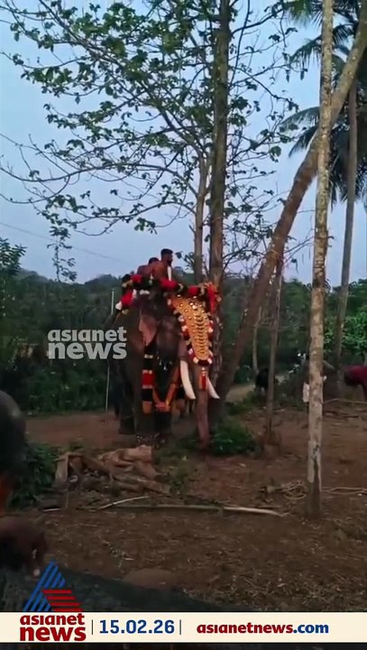 ചേലക്കരയിൽ ശിവരാത്രി ആഘോഷങ്ങൾക്കിടയിൽ ആന ഇടഞ്ഞു