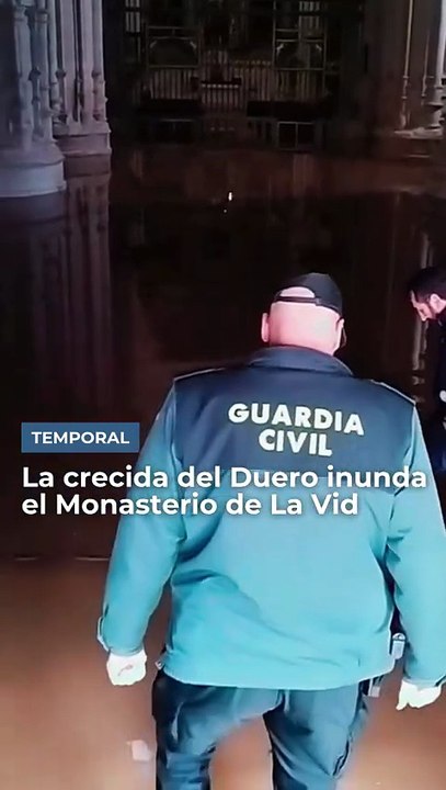 La vid