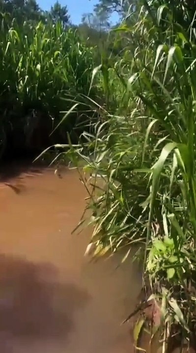 WhatsApp Video 2026-02-15 at 17.21.39