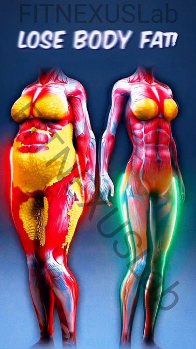 Burn Fat Like Crazy 🚀 See the Change! #fatloss #fitness #transformation #shorts