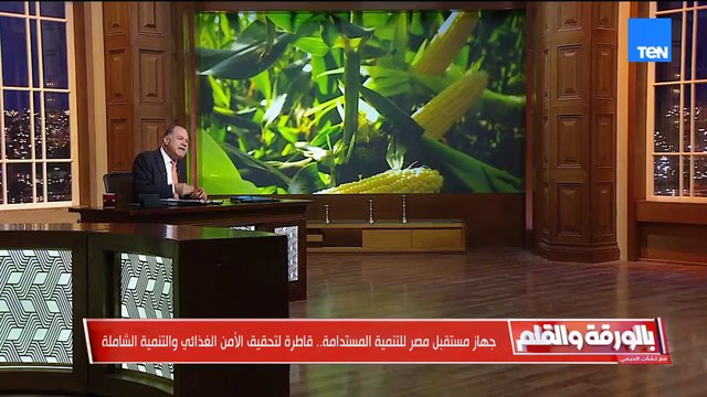 الديهي عن مكاسب وإنجازات مشروع مستقبل مصر: كل جنيه مكسب يعود لحساب المواطن المصري لأن الجهاز مملوك للدولة