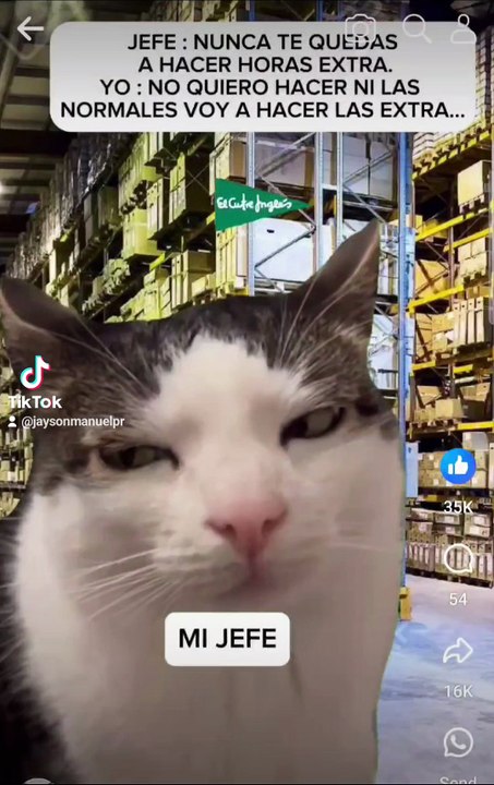 Asi se hace