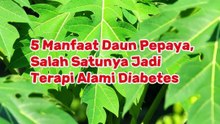 5 Manfaat Daun Pepaya, Salah Satunya Jadi Terapi Alami Diabetes
