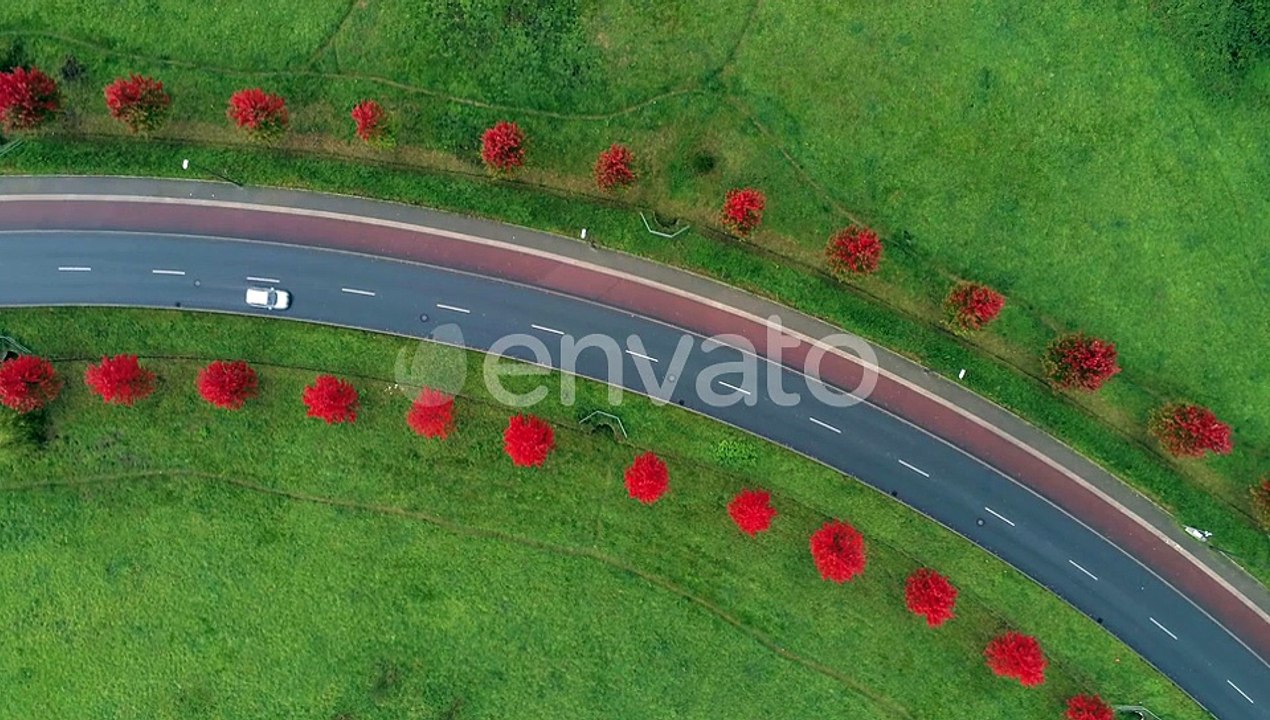 Cars driving on curved road between red trees at Bochum, Germany. Aerial top view