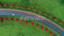 Cars driving on curved road between red trees at Bochum, Germany. Aerial top view