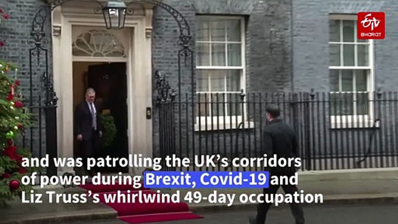 Larry The Cat Celebrates 15 Years As Downing Street's Chief Mouser