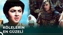 Hz. Yusuf ve Potifar'ın Hikayesi Nasıl Başladı | Hz. Yusuf