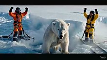 Brave Team Rescues Polar Bear Trapped in Ice 🐻‍❄️❄️  Frozen Polar Bear Saved Just in Time! | Emotional Rescue