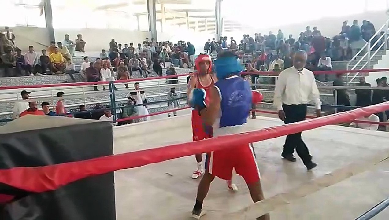 Fight shameer vs umer