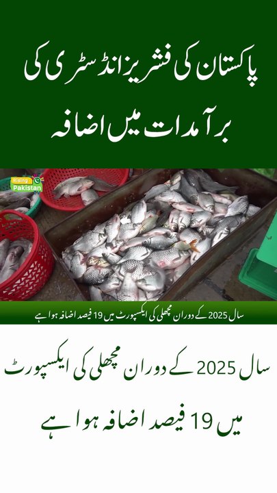 Pakistan’s Fisheries Exports Record Strong Growth!