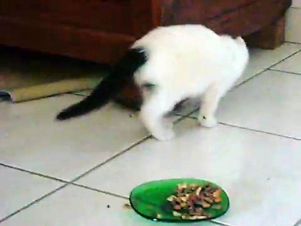 Mais que fais tu la dessous