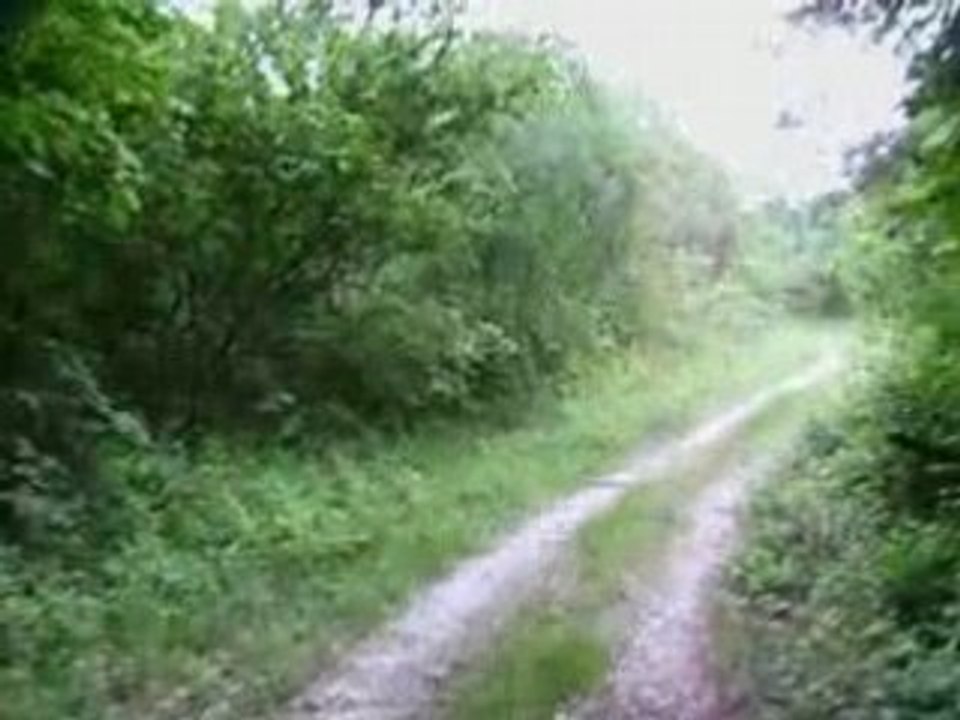 Balade avec ma nouille ( plus courte)