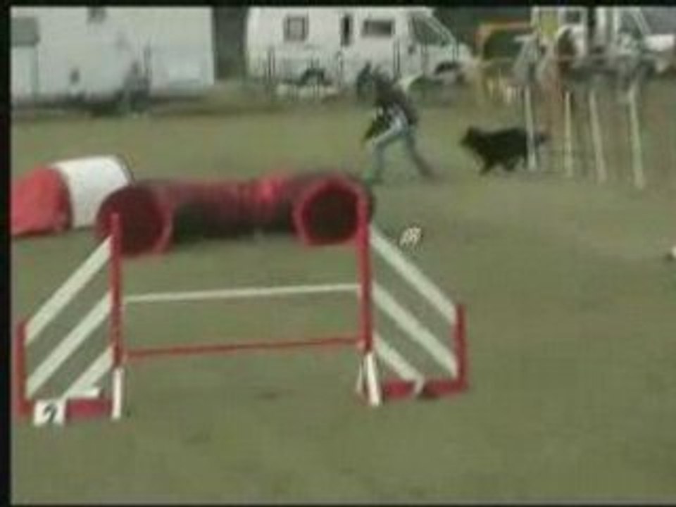Adellejump